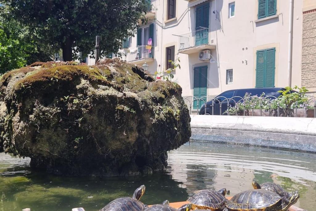 Laura B & B Florence Ngoại thất bức ảnh